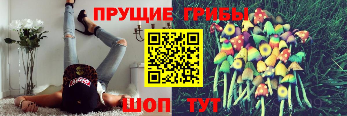 Артём  Псилоцибиновые грибы прущие грибы  Вход с VPN 
